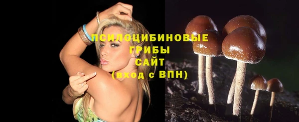 ешки Армянск