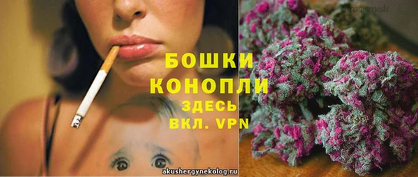 крисы Арсеньев